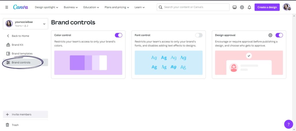 Brand Controls Canva (New Canva Features 2023)