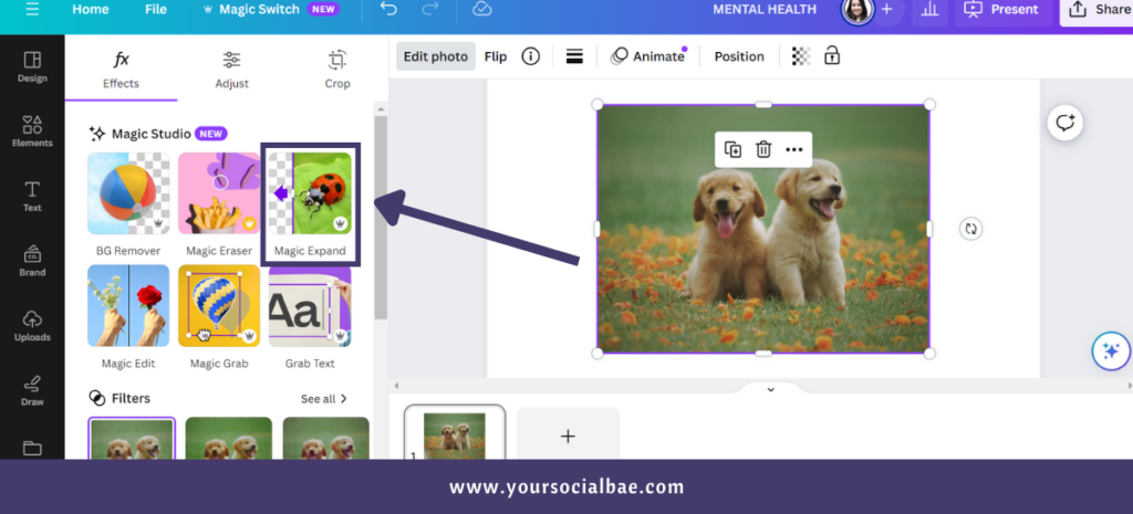 New Canva Feature - Magic Expand in Magic Studio