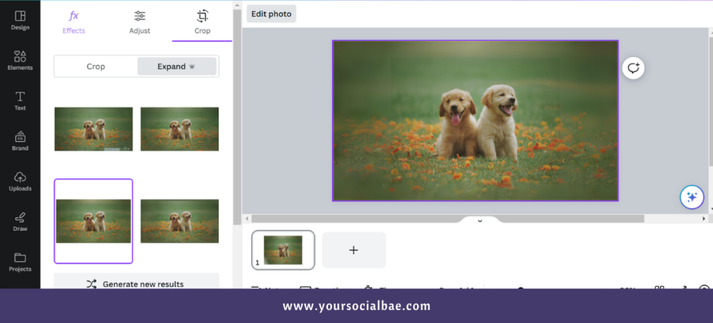 New Canva Feature - Magic Expand in Magic Studio